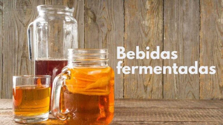 Bebidas fermentadas: Uma jornada para uma saúde intestinal