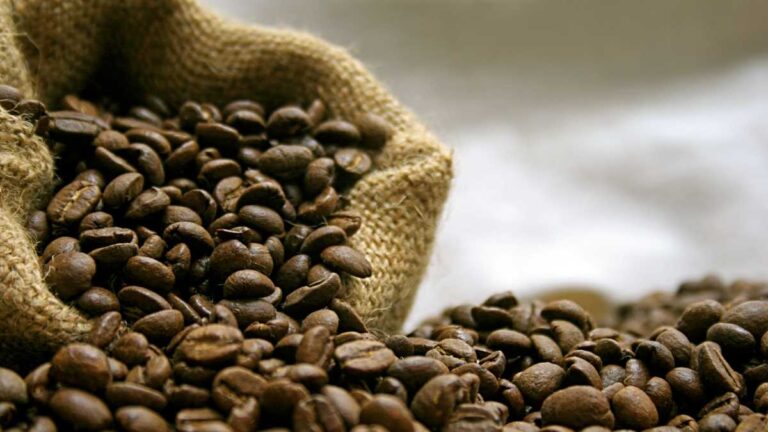 Valorização de grãos especiais e adaptação para consumo são apostas do setor de café