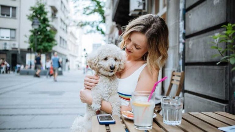 Benefícios de restaurantes pet friendly