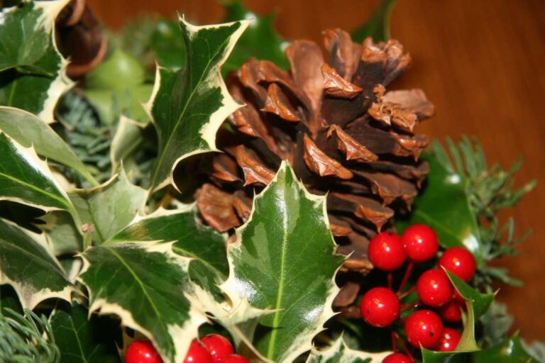 Presentear com Cestas de Natal: por que esse hábito cresce a cada ano