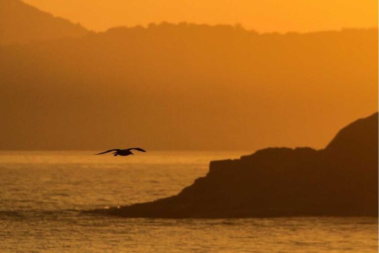 Como escolher uma empresa de passagem de ônibus para Cabo Frio